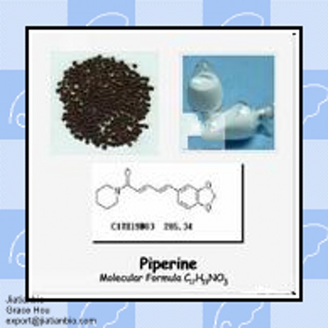 GMP Manufacturer Supply Natural Black Pepper Extract Powder