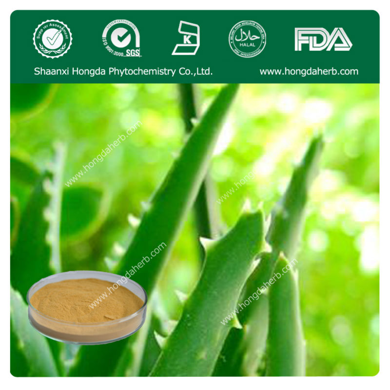 100 Natural Aloe Vera Extract Powderchina Hongda Price Supplier 21food 7375