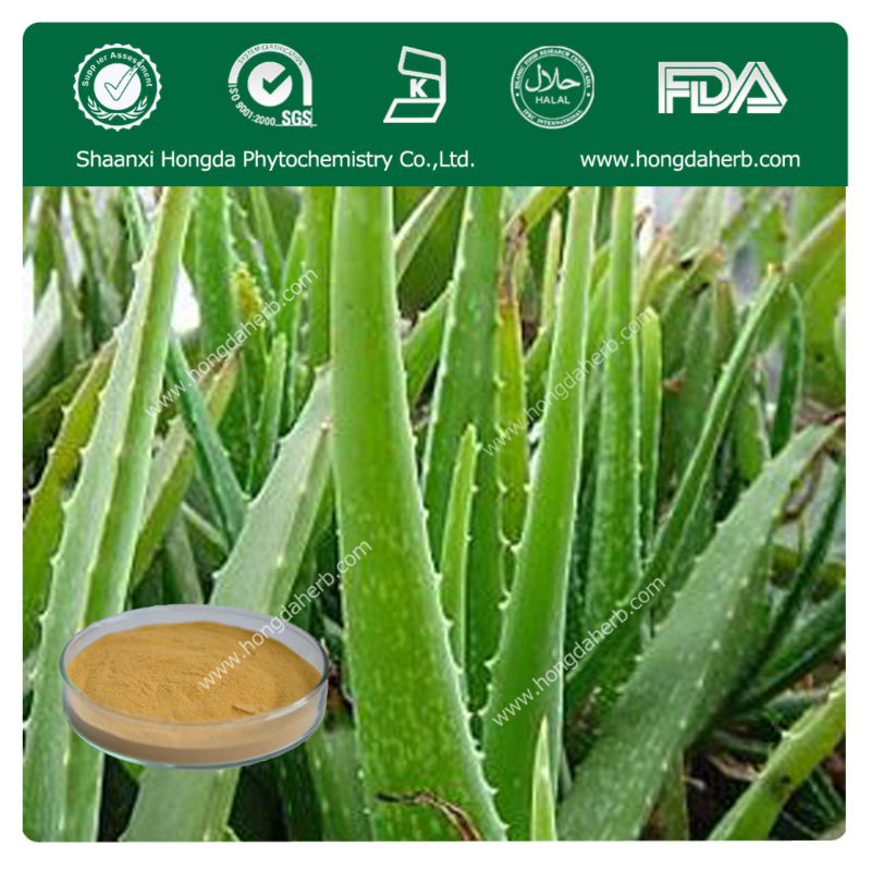 Natural Manufacturer Supply Aloe Vera Powdered Extract