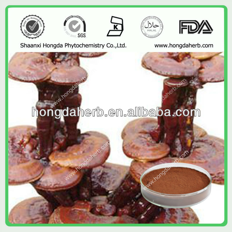 High Quality Reishi Mushroom Extract,China HongDa price supplier 21food