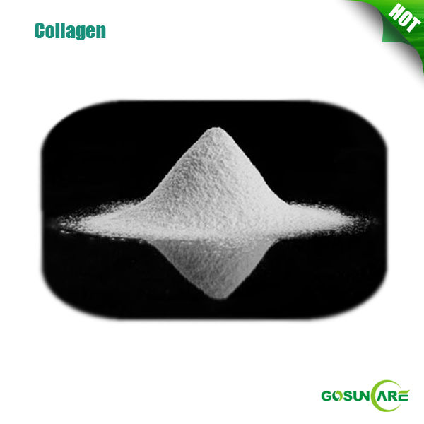 98% Protein Bulk Collagen Powder