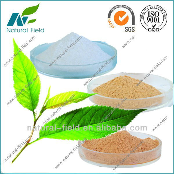 green tea leaves extract powder manufacturer
