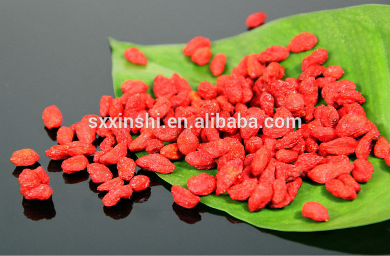 100% Natural Goji Berry Extract,Wolfberry Extract,Lycium Barbarum Extract