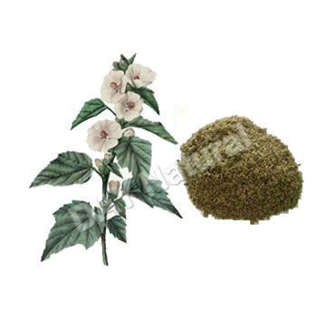 Manufacturer Supply Halal Marshmallow Root Extract Powder
