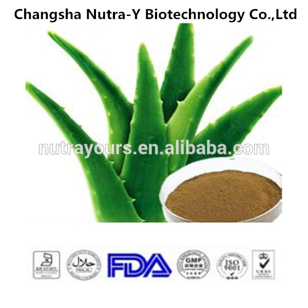 Hot Product Aloe Barbadensis Extract Aloe Vera Leaf Powderchina Nutra Y Price Supplier 21food 9911