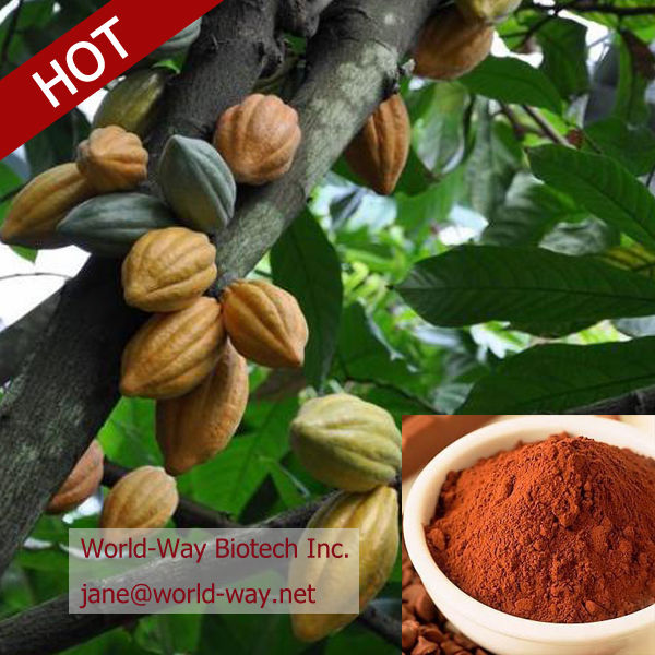 Natural Cocoa Extract Powder from GMP Manufacturer