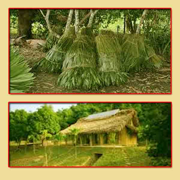Thatched coconut Leaf House Construction in Tamilnadu