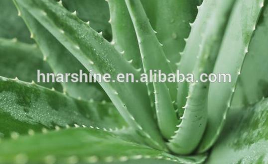 100 Natural Herbal Extract Aloe Vera Extractaloe Vera Extract Plantaloe Extract Powderchina 9343