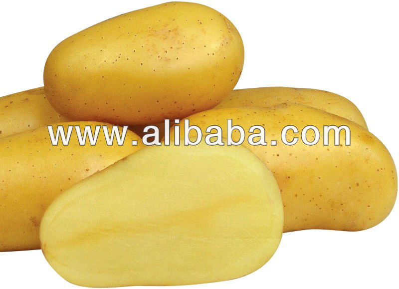 Indian Potato,India JIYA AGRO price supplier - 21food