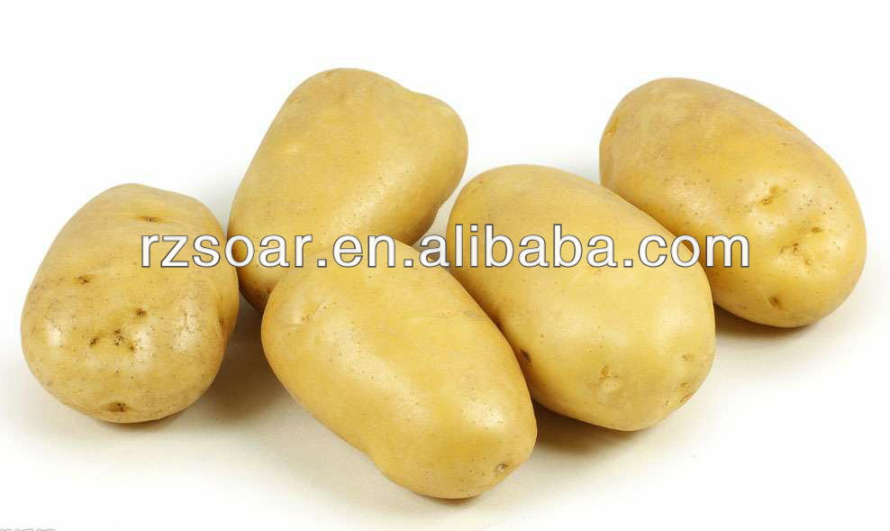 2014 Holland fresh potato,China Rzsoar holland potato price supplier ...