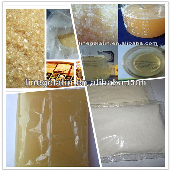 gelatin powder suppliers
