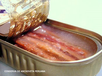 anchovy canned 21food