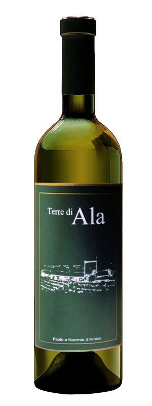 dry white wine from italy