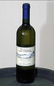 Italian Wine DOC - Prosecco white wine