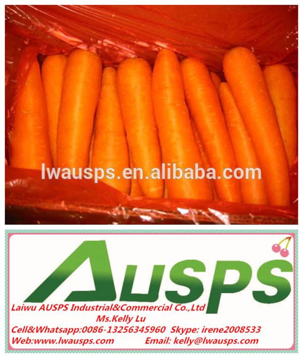 Chinese fresh carrot,China LAIWU AUSPS price supplier - 21food