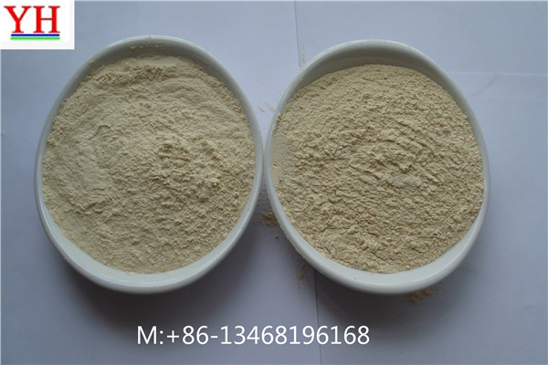 dried onoin powder,China YH price supplier - 21food