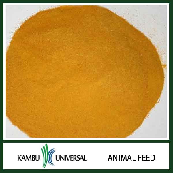 corn gluten meal chicken feed,China KAMBU price supplier - 21food