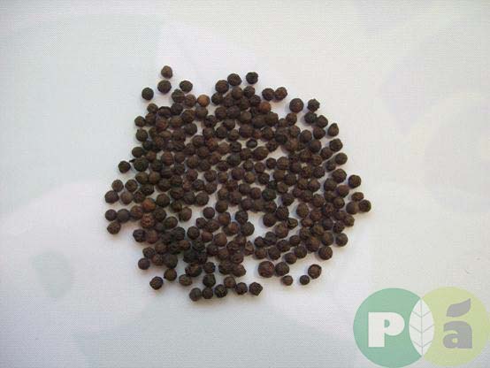 Black Pepper Berry Brown Label Grade 1 Malaysia Price Supplier 21food