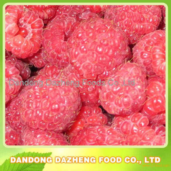 IQF Raspberry whole,frozen Raspberry, frozen mix berry,