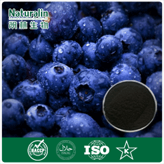 Bilberry extract