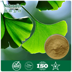 100% Natural Ginkgo biloba leaf extract, Ginkgo flavone glycosides >24%,plant extract,