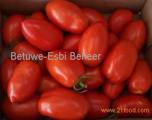 FRESH TOMATOES