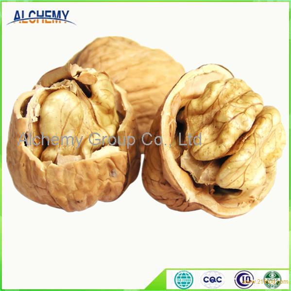 Xinjiang Walnuts & nuts,China ALCHEMY price supplier 21food