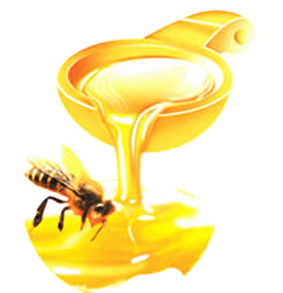 Organic Acacia honey