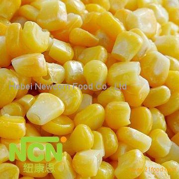 New Crop Frozen Sweet Corn Kernel