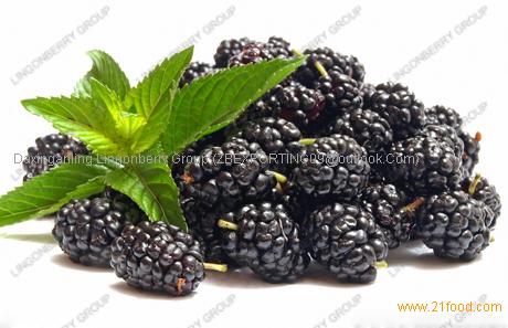 Blackberry juice powder from China Selling Leads -21food.com