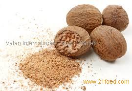 exporter of nutmeg