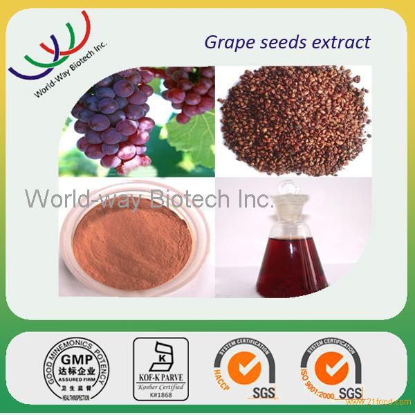 grape seed extract