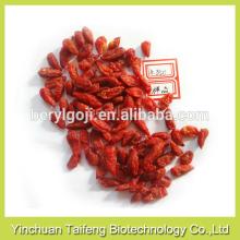 Dried goji berries wholesaler