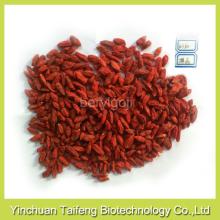 Red zhongning free sample goji berries