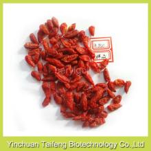EU standard free sample goji berries