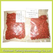 China goji berries produced in Zhongning