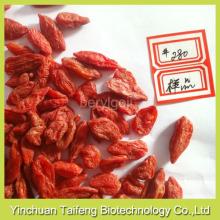 organic kosher goji berries in Ningxia
