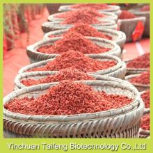 Red zhongning goji berries organic