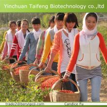 Low pesticide residue wolfberry/goji berries