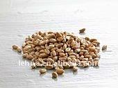  native   wheat   starch 