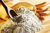 dry wheat starch 25kgs