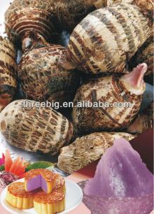 Taro extract powder taro powder for bubble tea and snacks