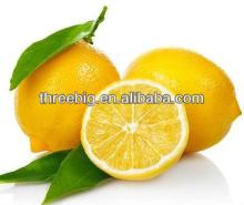 lemon concentrate juicefor bubble tea and coffee,lemon taste