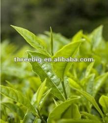 Hot!! assam tea from Sanda food factory!500g/600g per bag
