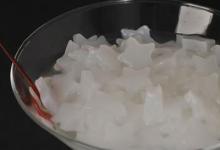 nata de coco&coconut for beverage&bubble tea