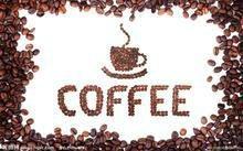 roasted coffee bean, arabica coffee bean