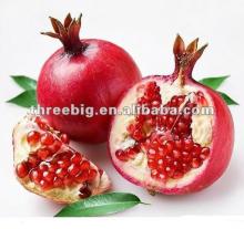 TASTY!! pomegranate powder for soft drinks!!!!