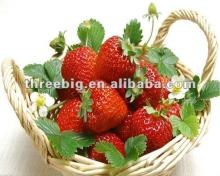hot selling!!! Strawberry flavor powder! Instant fruit powder!!