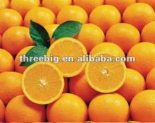 orange juice powder!! sweet orange powder!! suitable for all people!!