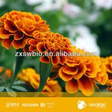 High Qulity Lutein Natural food colorant Orange powder